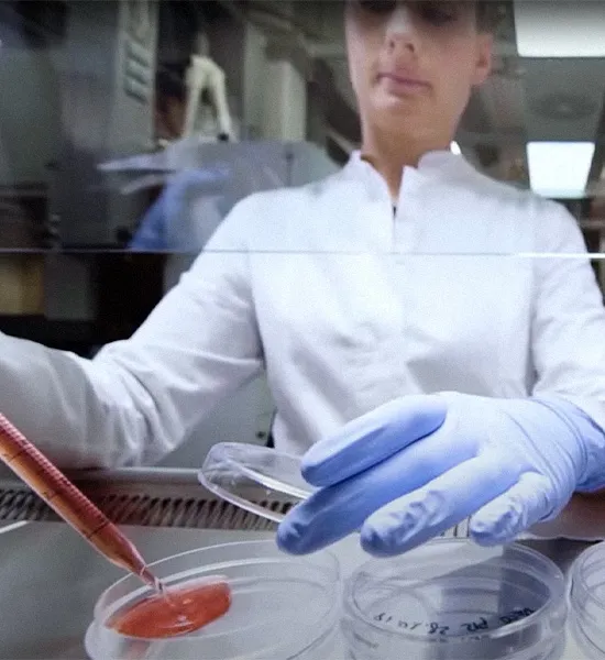 Eppendorf Harvesting - Cell Seeding